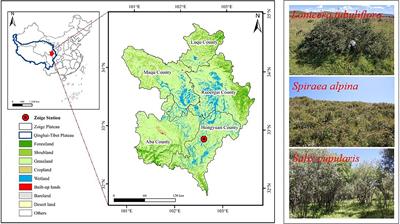 Effects of shrub encroachment on grassland community and soil nutrients among three typical shrubby grasslands in the alpine subhumid region of the Qinghai-Tibet Plateau, China